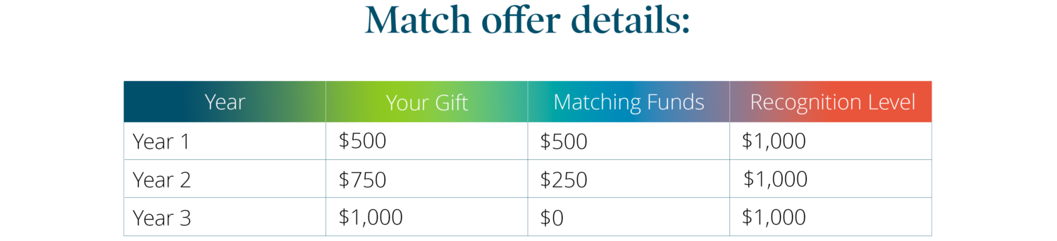 DS-Match-Offer-Chart-Web-2 Details of the Danforth Society match offer for new members.