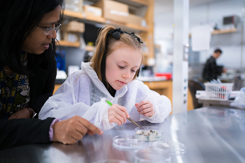 Girl in a lab coat working with plant samples in a petri dish while a scientist guides her